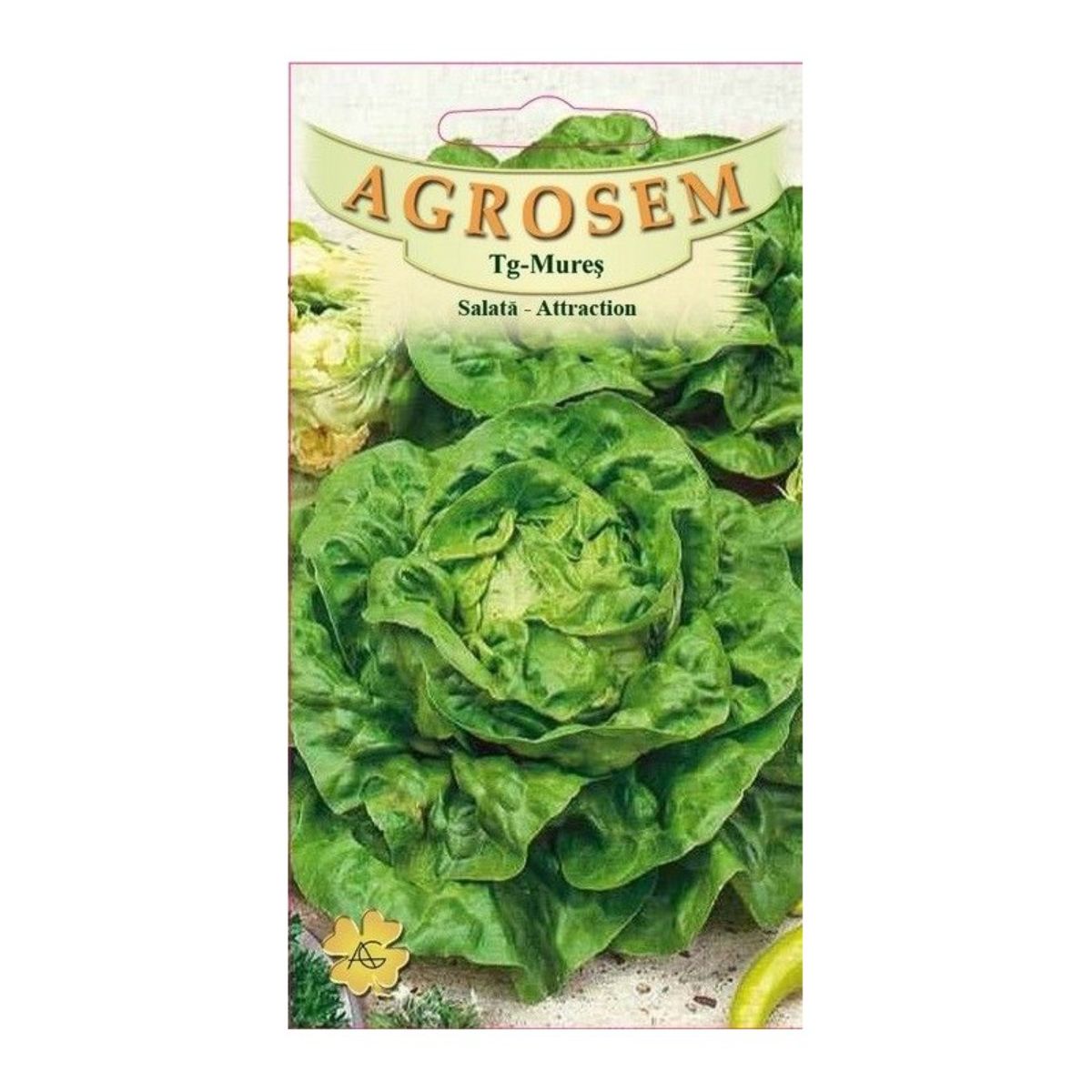 Seminte Salata AttractionAGROSEM 100 g
