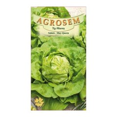 Seminte Salata May  Queen AGROSEM 15 g