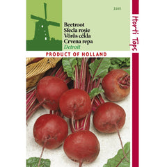 Seminte Sfecla rosie DETROIT Horti Tops 5 g