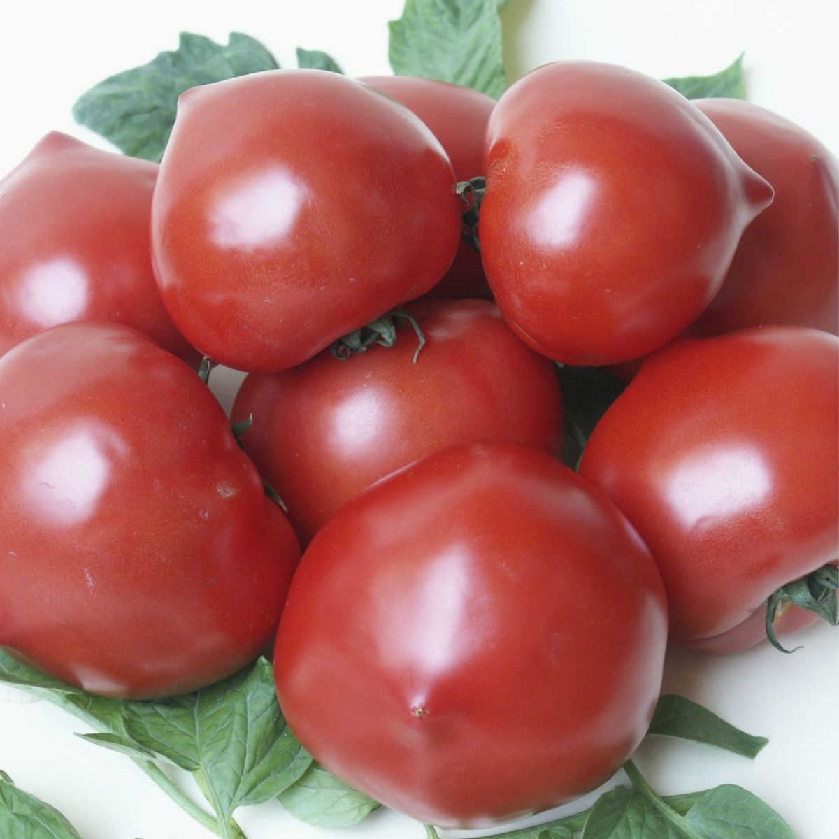 Seminte Tomate semideterminate PREKOS F1 Geosem Select 250 seminte