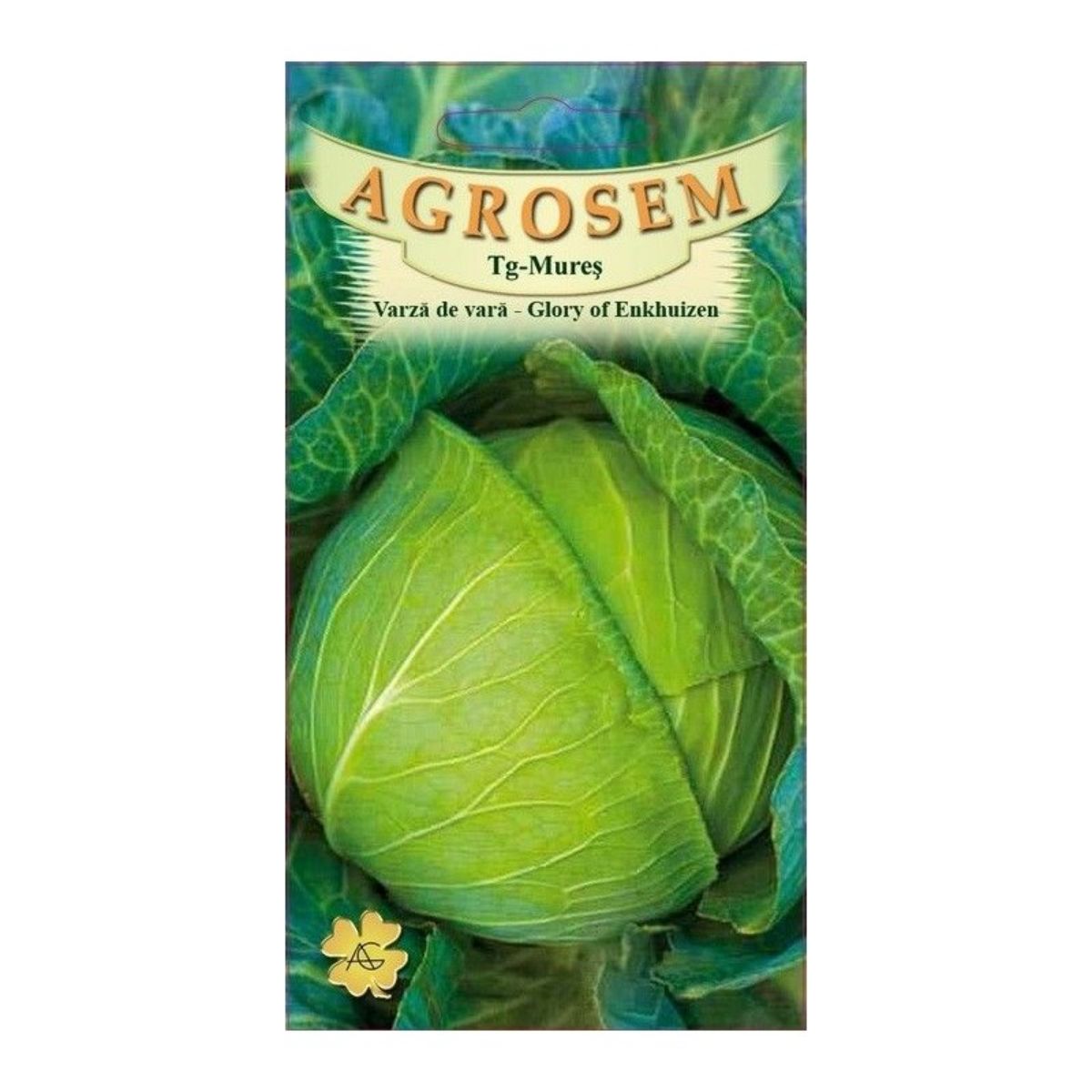 Seminte Varza� de  vara Glory of Enkhuizen  AGROSEM 20 g