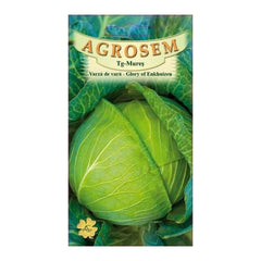 Seminte Varza� de  vara Glory of Enkhuizen  AGROSEM 20 g