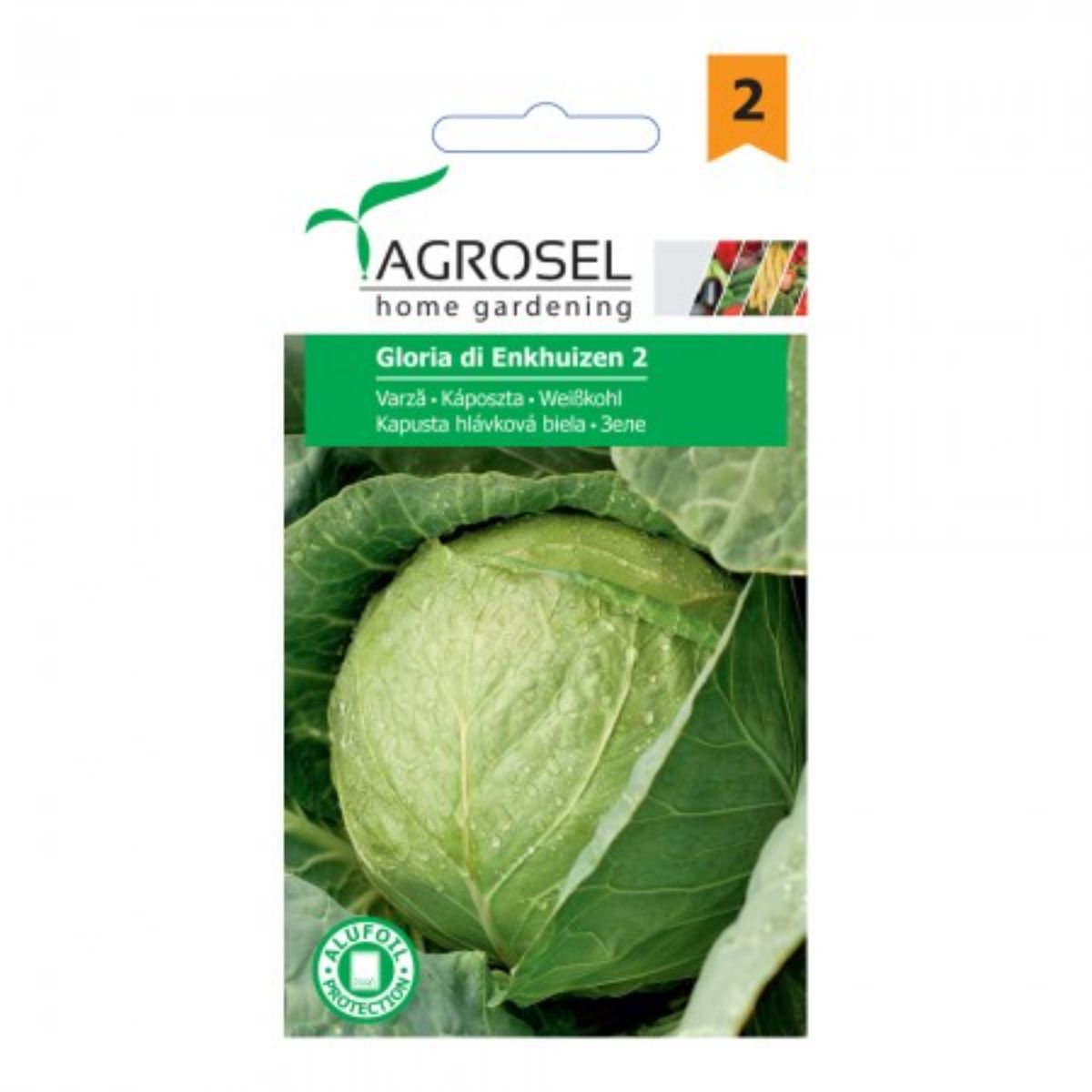 Seminte Varza Gloria di Enkhuizen 2 Agrosel 3 g, 1, hectarul.ro