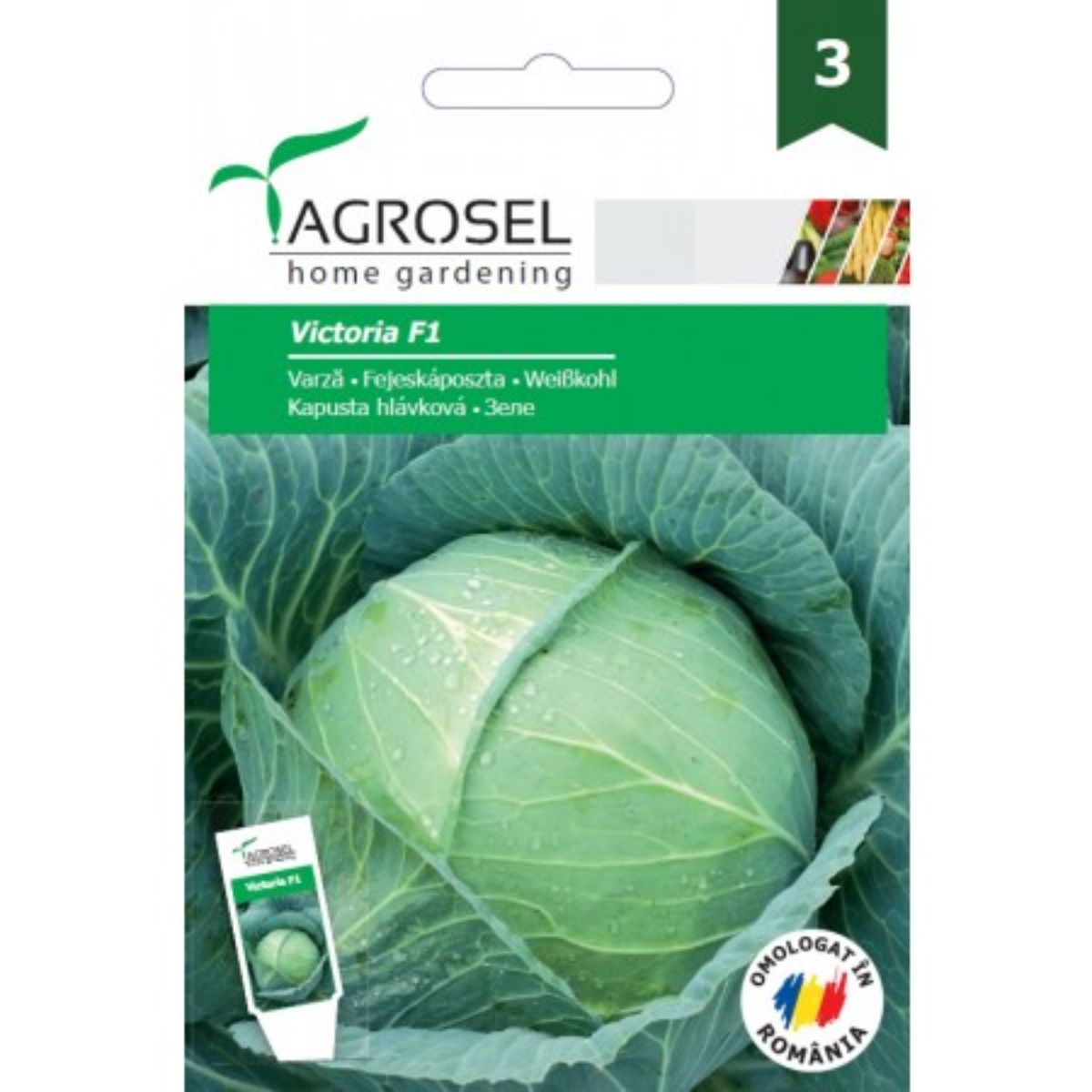 Seminte Varza Victoria F1 Agrosel 80 sem