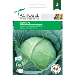Seminte Varza Victoria F1 Agrosel 80 sem