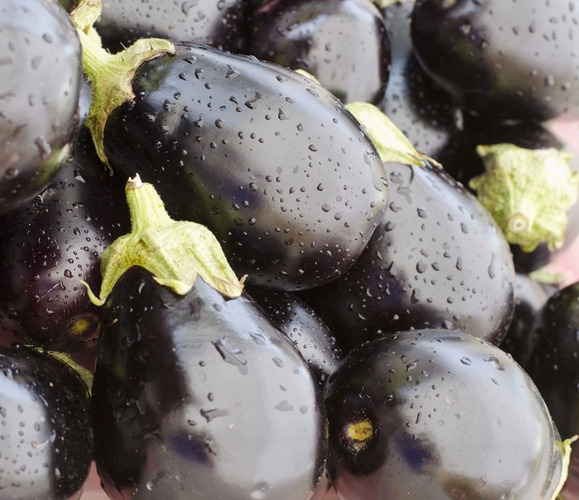 Seminte Vinete Mercury F1 -100 sem, HEKTAR SEEDS, 1, hectarul.ro