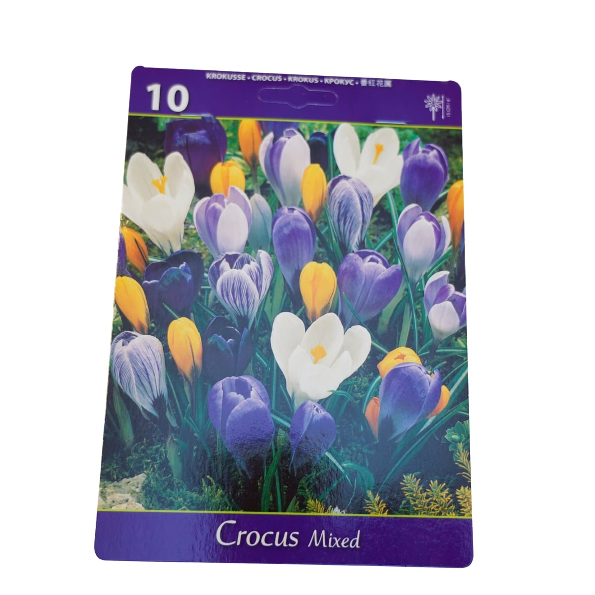 Set 10 bulbi, Crocus Mixed