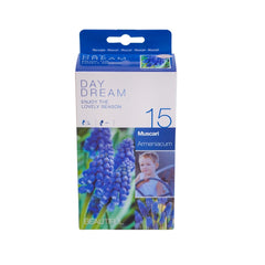 Set 15 bulbi, Muscari Armeriaceum