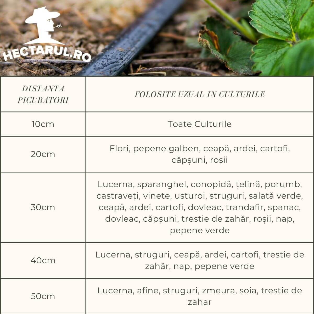 Tub de Picurare Cilindric 16mm; P[cm]: 20; 400ML
